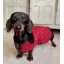 Earthbound Premium Wax Dog Coat in Red
